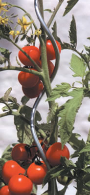 Round Tomato Cage Plant Support