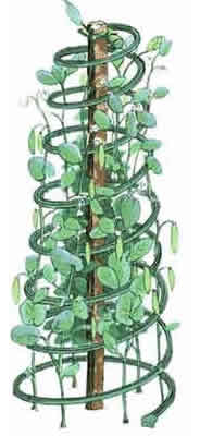 Round Tomato Cage Plant Support